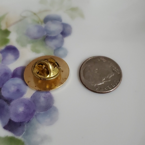 Holland America Mariner Society 25 pinback lapel commemorative souvenir - Picture 4 of 4